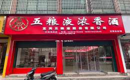 2025年五粮液官方旗舰店vs五粮浓香，两款酒品对比解析
