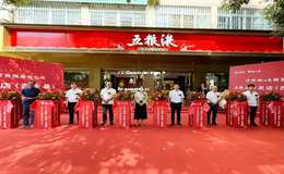 2025年五粮液代理利润分析：大吗？具体数值是多少？