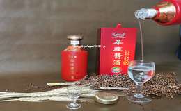 金六福白酒代理费用2025年一览表