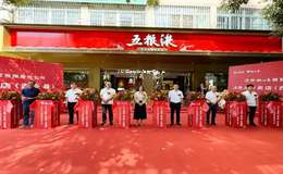 2025年五粮液代理酒厂名单，全解析