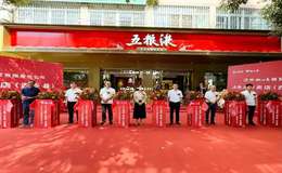 2025年五粮液52度500ml价格查询，一瓶多少钱