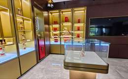2025年五粮液旗舰店与专卖店区别在哪里，全面解析品牌购物体验差异