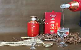 2025年中国白酒代理加盟市场全国排行榜，盘点最具潜力的白酒加盟品牌