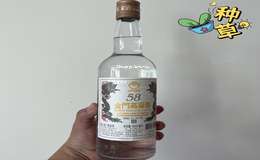 2025年哪种白酒代理好做一点，市场前景分析
