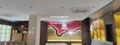 2025年五粮液代理赚钱分析：市场前景与盈利潜力评估