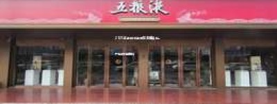 2025年五粮液经销商必备条件，严格标准解析