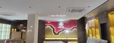 2025年五粮液第24届活动亮点解析