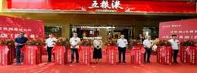 2025年五粮液代理加盟费用一览，知乎推荐方案揭晓