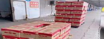 2025年五粮液升级版非卖品，独家揭秘顶级白酒新品