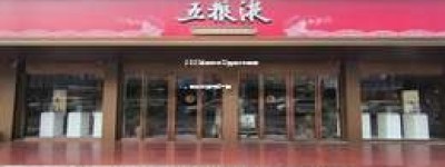 2025年五粮液52度官方价格表，最新市场行情一览