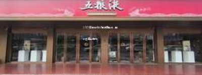 2025年五粮液代理如何盈利，赚钱之道全解析