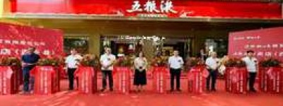 2025年五粮液代理酒厂名单，全解析