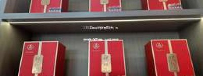 2025年五粮液官方招商政策：诚邀优质代理商加盟，共创美好未来