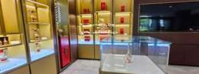 2025年五粮液旗舰店与专卖店区别在哪里，全面解析品牌购物体验差异