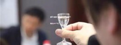 厚工坊酱香酒怎么样(厚工坊酒53度多少钱一支)