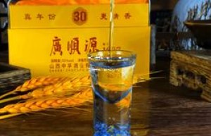 厚工坊酱香型53度500ml(厚工坊酱香型53度满堂红价格)