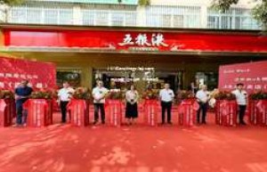 2025年五粮液加盟代理条件要求：投资额度、经营资质、市场调研等全面解析