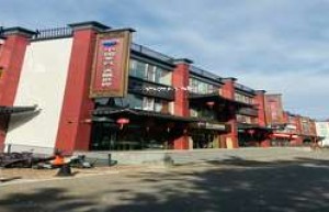 2025飞天茅台预约成功，为何收不到短信？