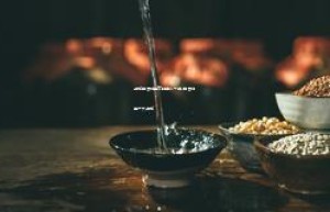 品牌白酒加盟商排名前十名,白酒加盟十大品牌