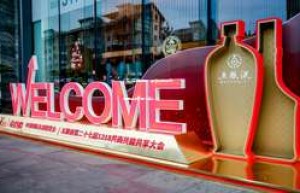 2025年送领导：茅台与五粮液，如何选择彰显心意？