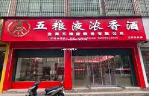 2025年五粮液加盟代理政策详解，全面开启财富之门