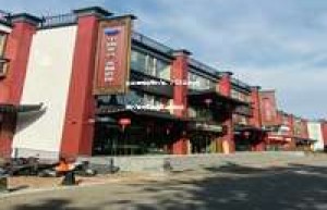 茅台酒烟台总代理，2026年权威总代理为您提供高品质服务