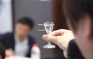 高端白酒代理条件2025年要求标准