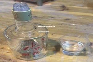 品牌白酒代理权转让协议书怎么写,白酒代理销售合同范本
