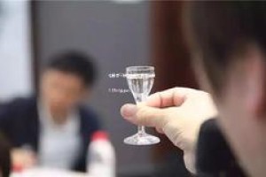 杜康酒52度酱香型,杜康酒52度500ml多少钱