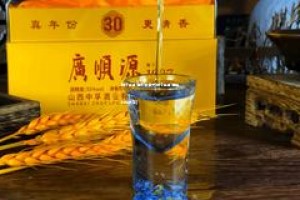 哪个酱香酒最有潜力(那个酱香酒性价比最高)