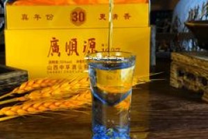 品牌白酒加盟商排名(知名白酒加盟品牌)