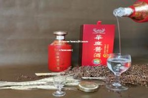 怎么做白酒代理加盟店(怎么做白酒代理加盟店赚钱)